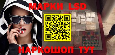 гидропоника Краснознаменск
