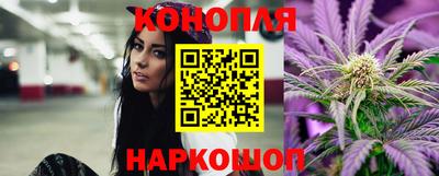 гидропоника Краснознаменск