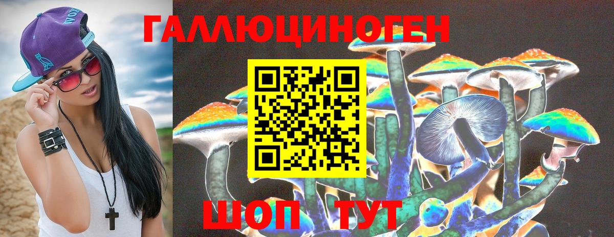 Псилоцибиновые грибы Psilocybine cubensis Дедовск